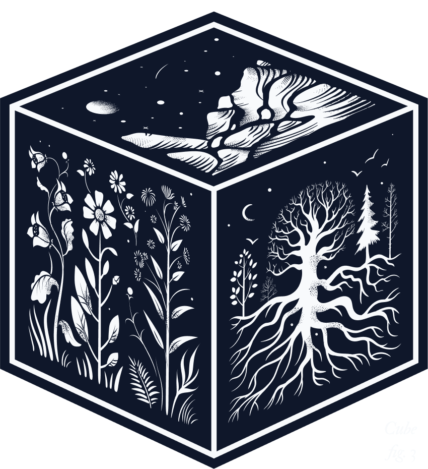Cube