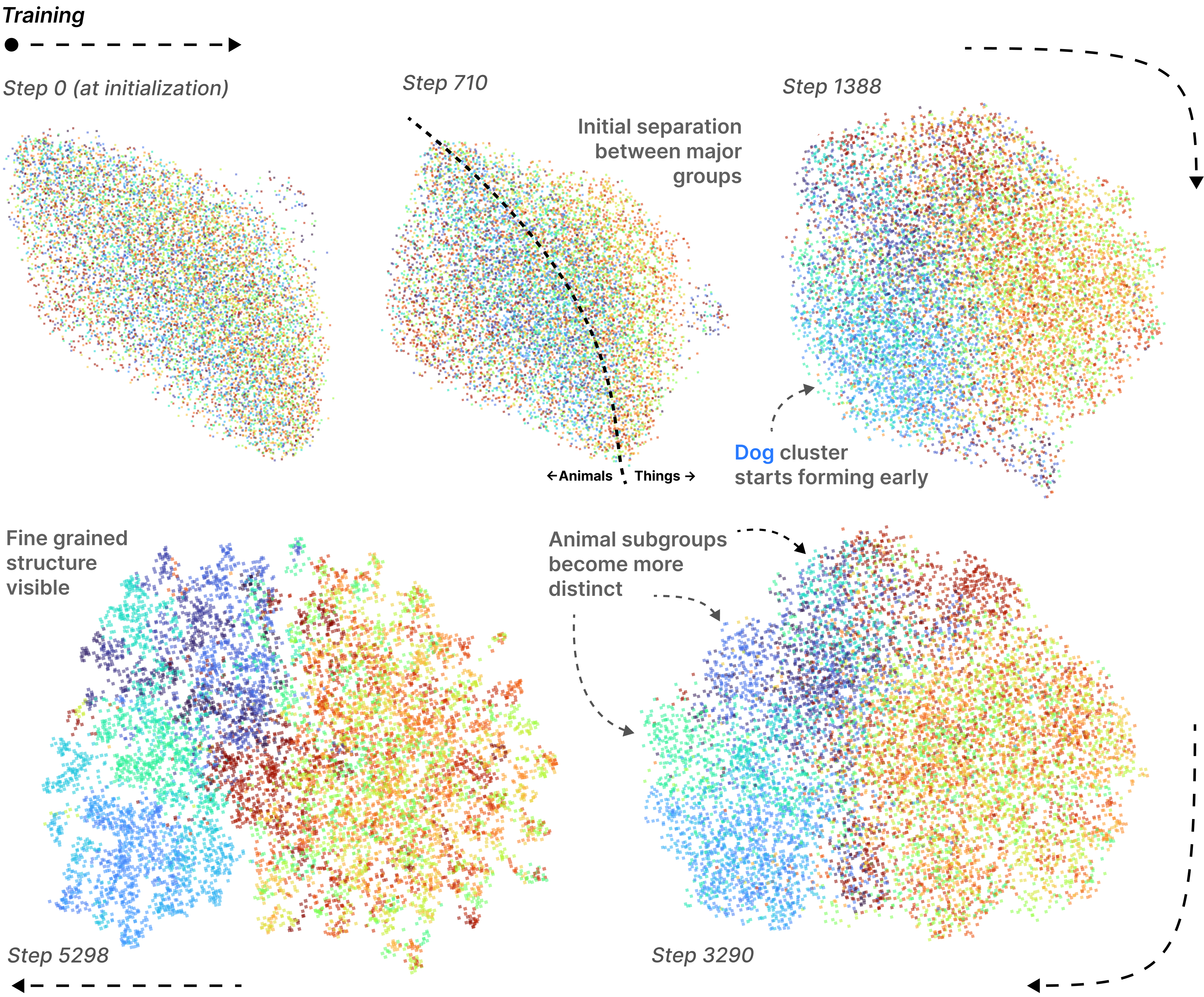 Evolution of the kernel over training.