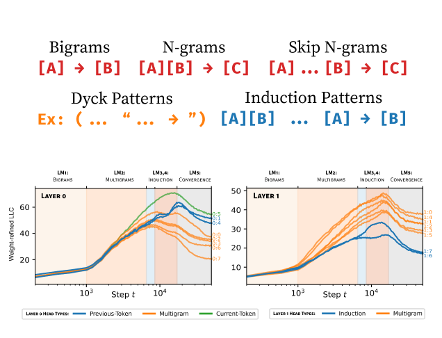 Differentiation and Specialization of Attention Heads via the Refined Local Learning Coefficient