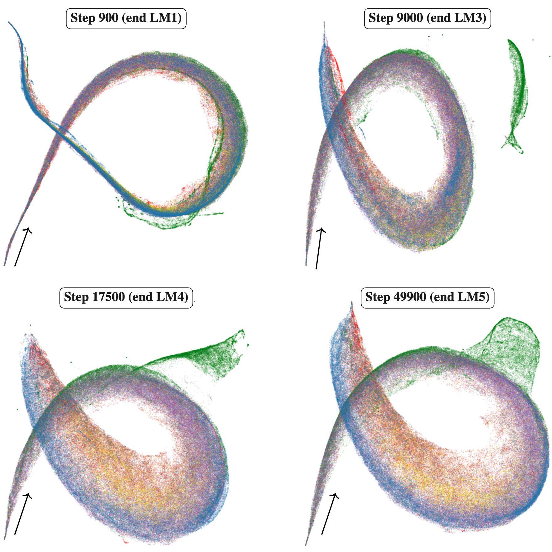 Embryology of a Language Model