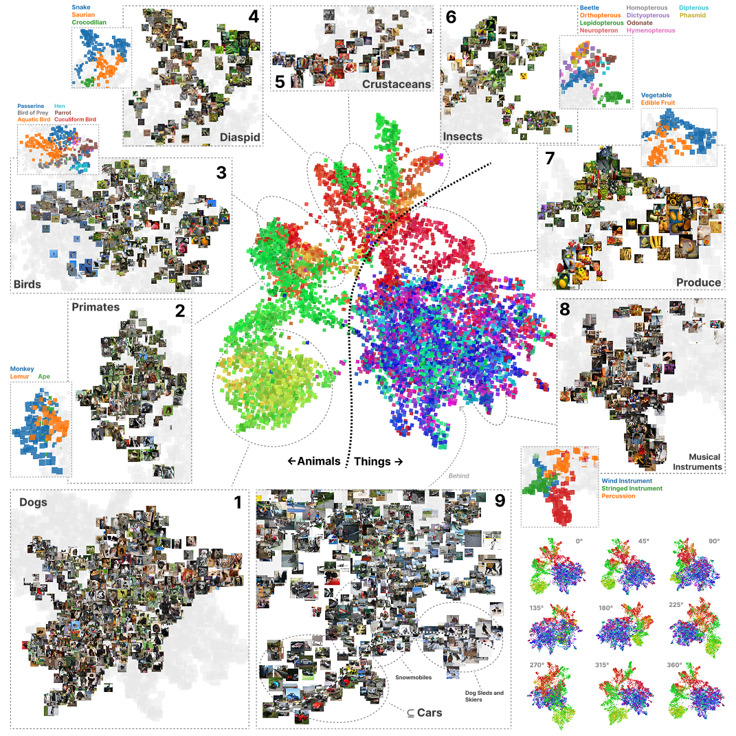 The Loss Kernel: A Geometric Probe for Deep Learning Interpretability